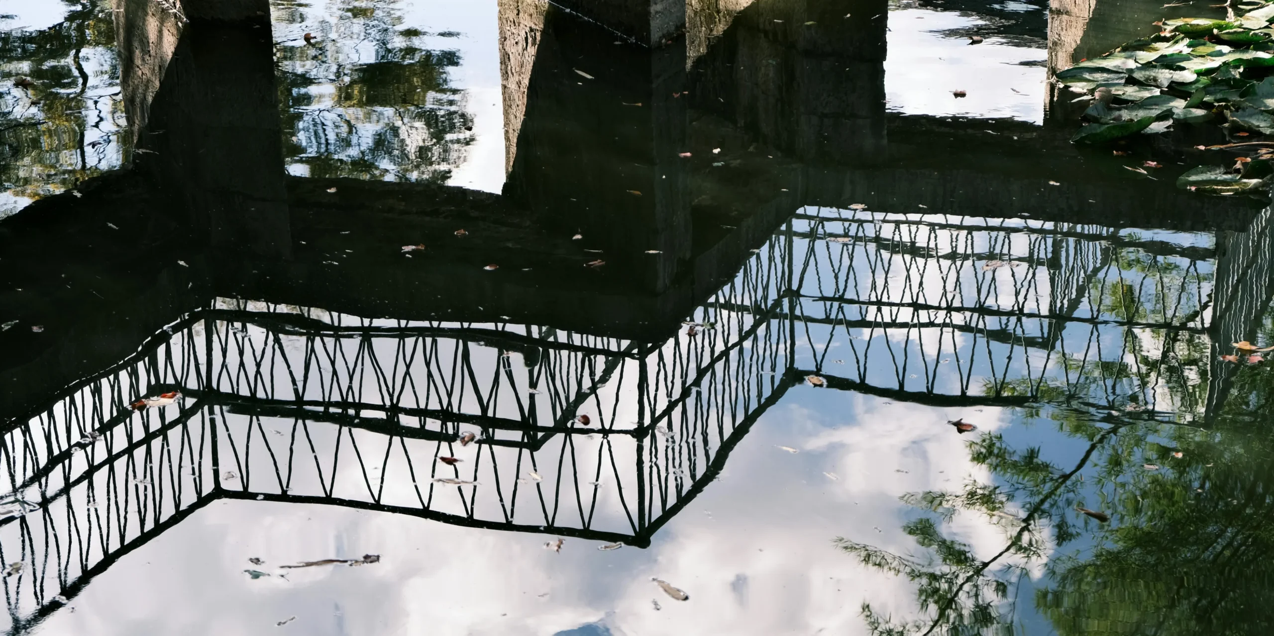 Articulo de Carta Personal Blog